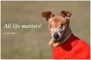 Belle All Life Matters Jpeg